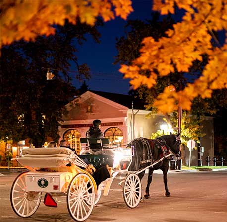 Niagara-on-the-Lake horse and carriage